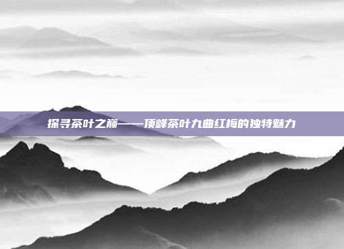 探寻茶叶之巅——顶峰茶叶九曲红梅的独特魅力
