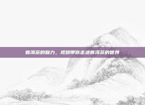 普洱茶的魅力，视频带你走进普洱茶的世界