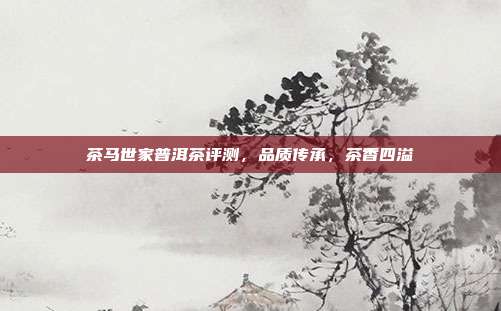 茶马世家普洱茶评测，品质传承，茶香四溢
