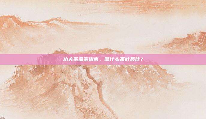 功夫茶品鉴指南，喝什么茶叶最佳？