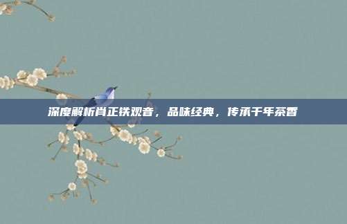深度解析肖正铁观音，品味经典，传承千年茶香