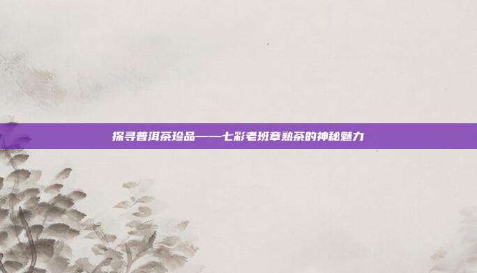 探寻普洱茶珍品——七彩老班章熟茶的神秘魅力