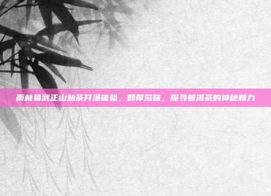 雨林易武正山熟茶开汤体验，醇厚滋味，探寻普洱茶的神秘魅力