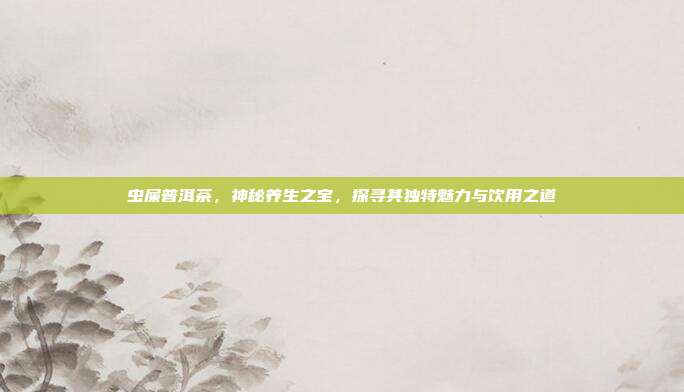 虫屎普洱茶，神秘养生之宝，探寻其独特魅力与饮用之道