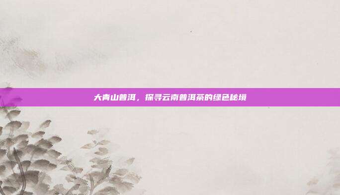 大青山普洱，探寻云南普洱茶的绿色秘境
