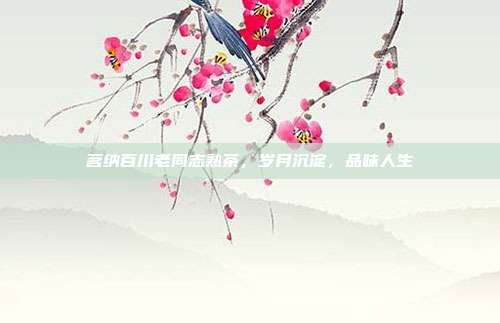 茗纳百川老同志熟茶，岁月沉淀，品味人生