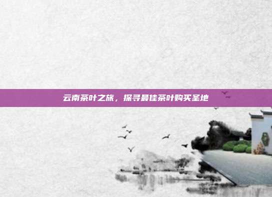 云南茶叶之旅，探寻最佳茶叶购买圣地