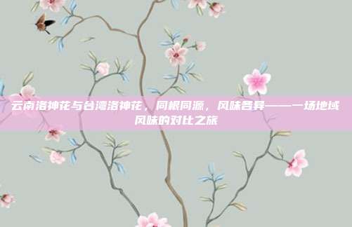 云南洛神花与台湾洛神花，同根同源，风味各异——一场地域风味的对比之旅