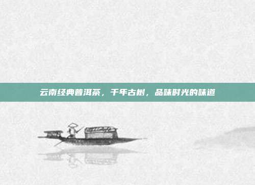 云南经典普洱茶，千年古树，品味时光的味道