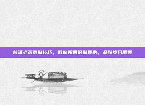 普洱老茶鉴别技巧，教你如何识别真伪，品味岁月醇香