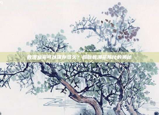 普洱熟茶可以保存多久？揭秘普洱茶陈化的奥秘