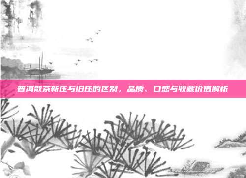 普洱散茶新压与旧压的区别，品质、口感与收藏价值解析