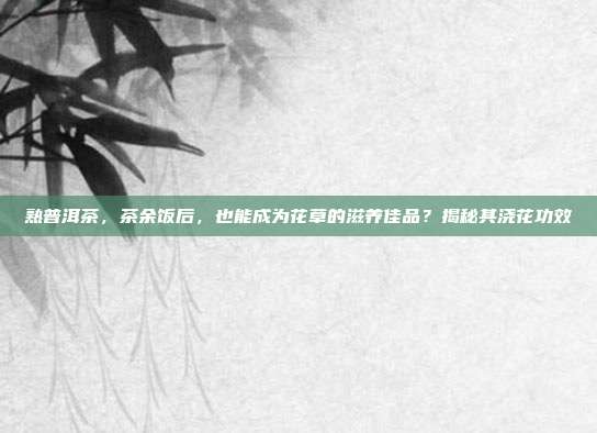 熟普洱茶，茶余饭后，也能成为花草的滋养佳品？揭秘其浇花功效