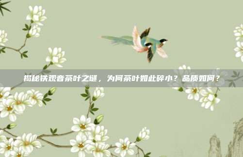 揭秘铁观音茶叶之谜，为何茶叶如此碎小？品质如何？