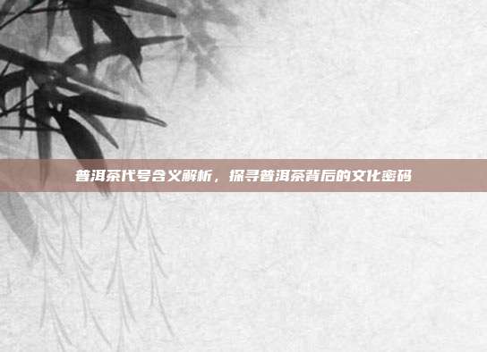 普洱茶代号含义解析，探寻普洱茶背后的文化密码
