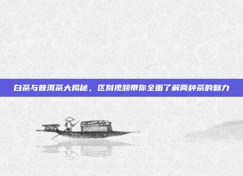 白茶与普洱茶大揭秘，区别视频带你全面了解两种茶的魅力