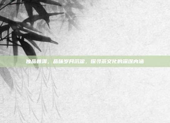 独品普洱，品味岁月沉淀，探寻茶文化的深邃内涵
