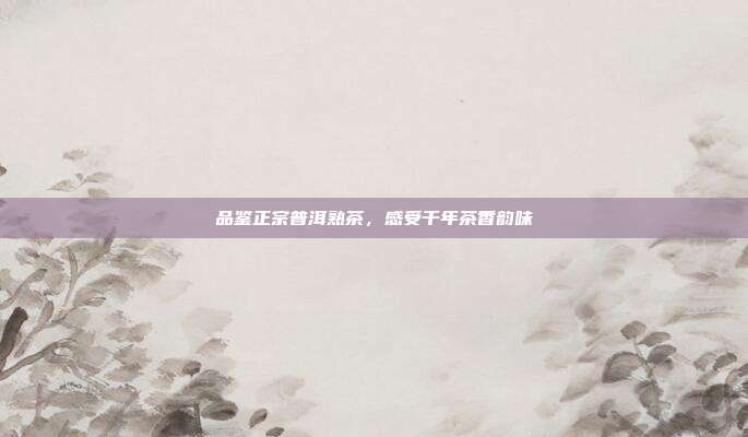 品鉴正宗普洱熟茶，感受千年茶香韵味