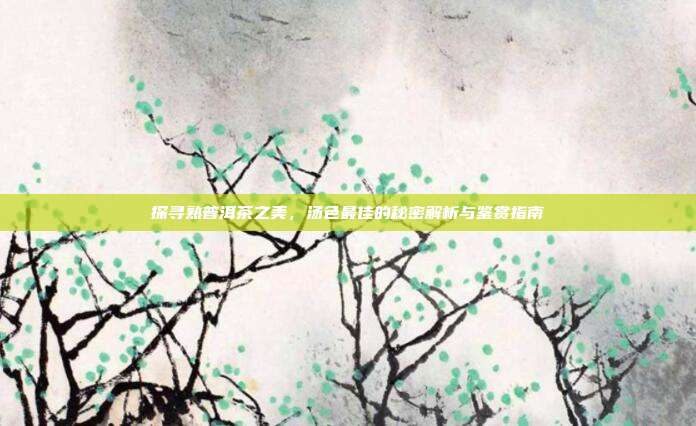 探寻熟普洱茶之美，汤色最佳的秘密解析与鉴赏指南