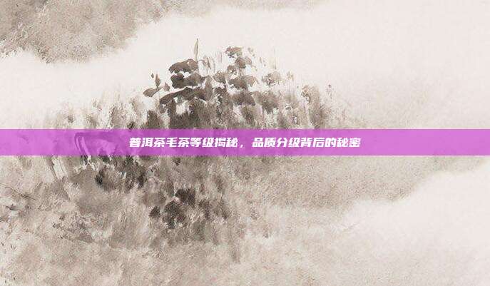 普洱茶毛茶等级揭秘，品质分级背后的秘密