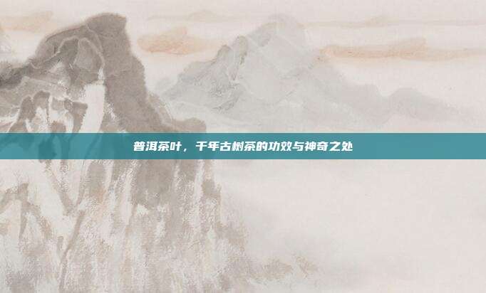 普洱茶叶，千年古树茶的功效与神奇之处