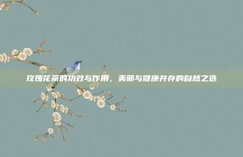 玫瑰花茶的功效与作用，美丽与健康并存的自然之选
