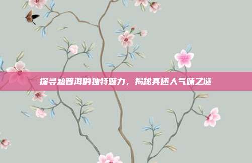 探寻熟普洱的独特魅力，揭秘其迷人气味之谜