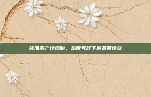 普洱茶产地揭秘，热带气候下的茶香传奇