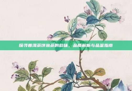 探寻普洱茶饼熟茶的韵味，品质解析与品鉴指南