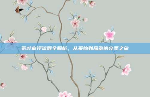 茶叶审评流程全解析，从采摘到品鉴的完美之旅