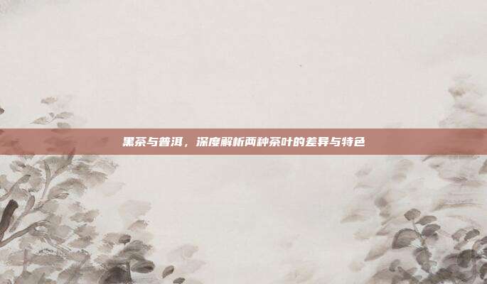 黑茶与普洱，深度解析两种茶叶的差异与特色