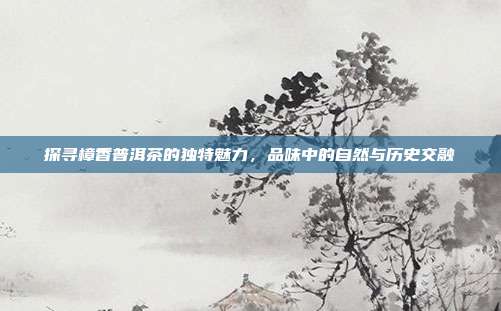 探寻樟香普洱茶的独特魅力，品味中的自然与历史交融