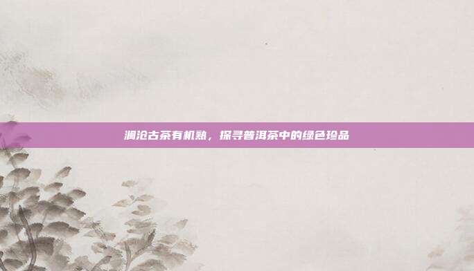 澜沧古茶有机熟，探寻普洱茶中的绿色珍品