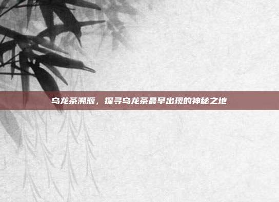 乌龙茶溯源，探寻乌龙茶最早出现的神秘之地