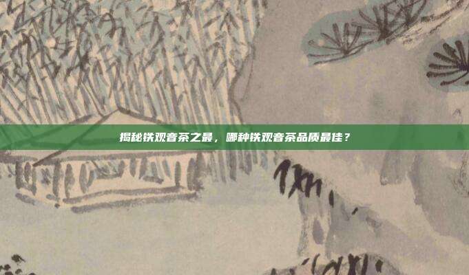 揭秘铁观音茶之最，哪种铁观音茶品质最佳？