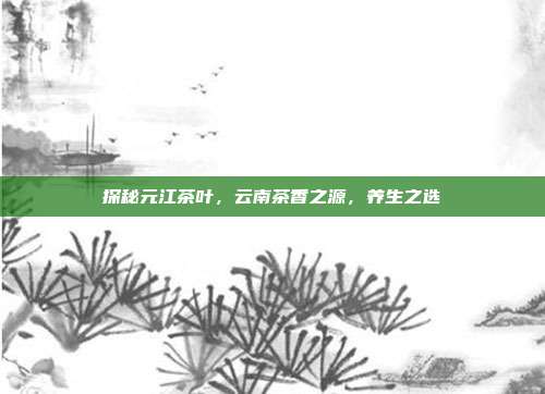 探秘元江茶叶，云南茶香之源，养生之选