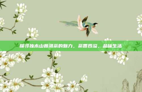 探寻独木山普洱茶的魅力，茶香四溢，品味生活
