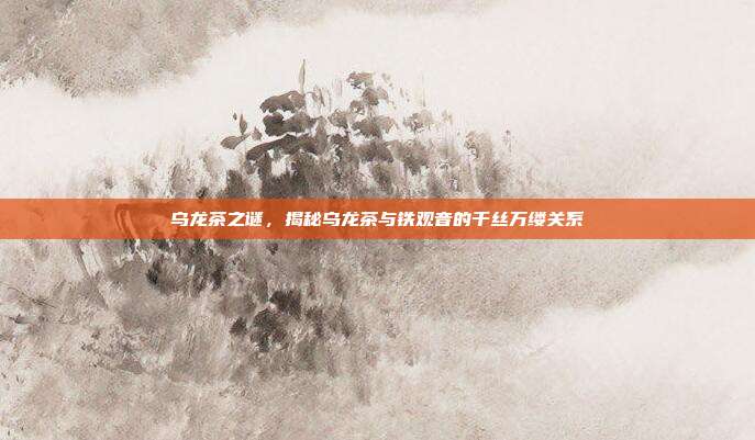 乌龙茶之谜，揭秘乌龙茶与铁观音的千丝万缕关系