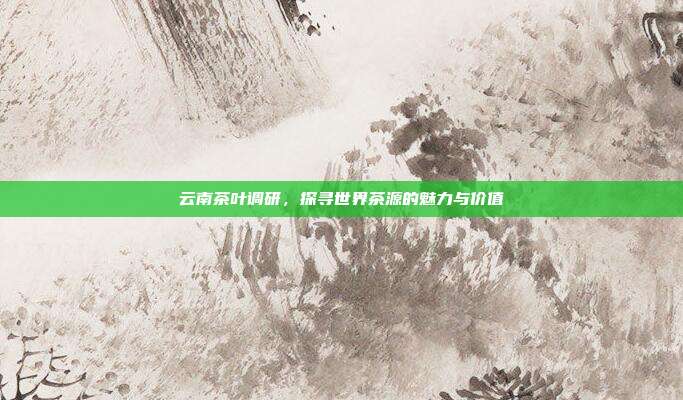 云南茶叶调研，探寻世界茶源的魅力与价值