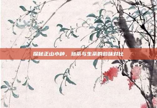探秘正山小种，熟茶与生茶的韵味对比
