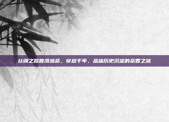 丝绸之路普洱熟茶，穿越千年，品味历史沉淀的茶香之旅