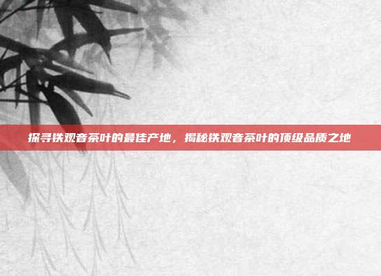 探寻铁观音茶叶的最佳产地，揭秘铁观音茶叶的顶级品质之地