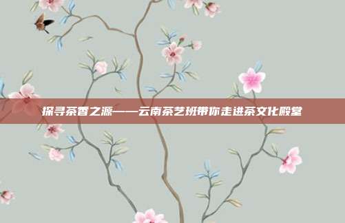 探寻茶香之源——云南茶艺班带你走进茶文化殿堂
