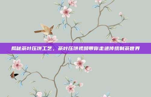 揭秘茶叶压饼工艺，茶叶压饼视频带你走进传统制茶世界