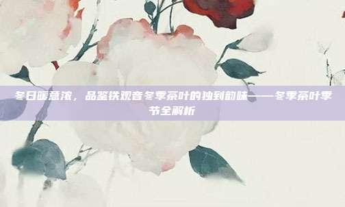 冬日暖意浓，品鉴铁观音冬季茶叶的独到韵味——冬季茶叶季节全解析