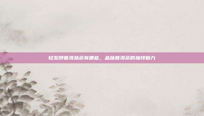 轻发酵普洱熟茶有哪些，品味普洱茶的独特魅力