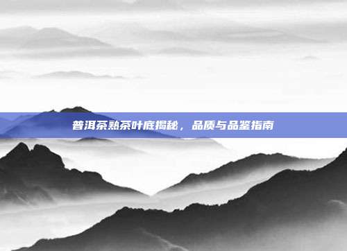 普洱茶熟茶叶底揭秘，品质与品鉴指南