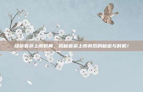 绿茶春茶上市时间，揭秘春茶上市背后的秘密与时机！