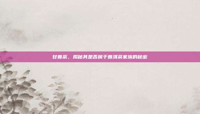 甘普茶，揭秘其是否属于普洱茶家族的秘密