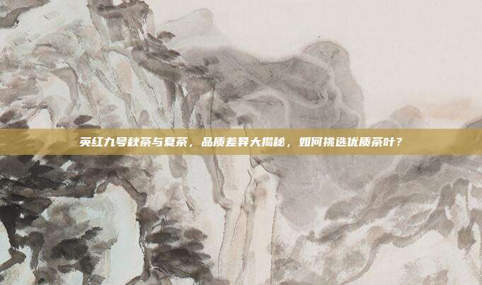 英红九号秋茶与夏茶，品质差异大揭秘，如何挑选优质茶叶？